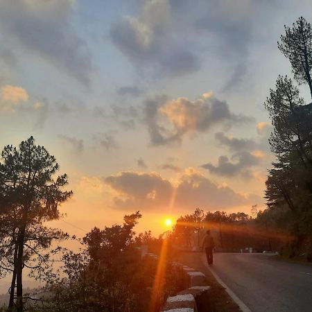 Him Aashrey B&B Homestay Shimla Ngoại thất bức ảnh